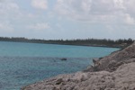 resIMG_20190613_100906_0768.JPG